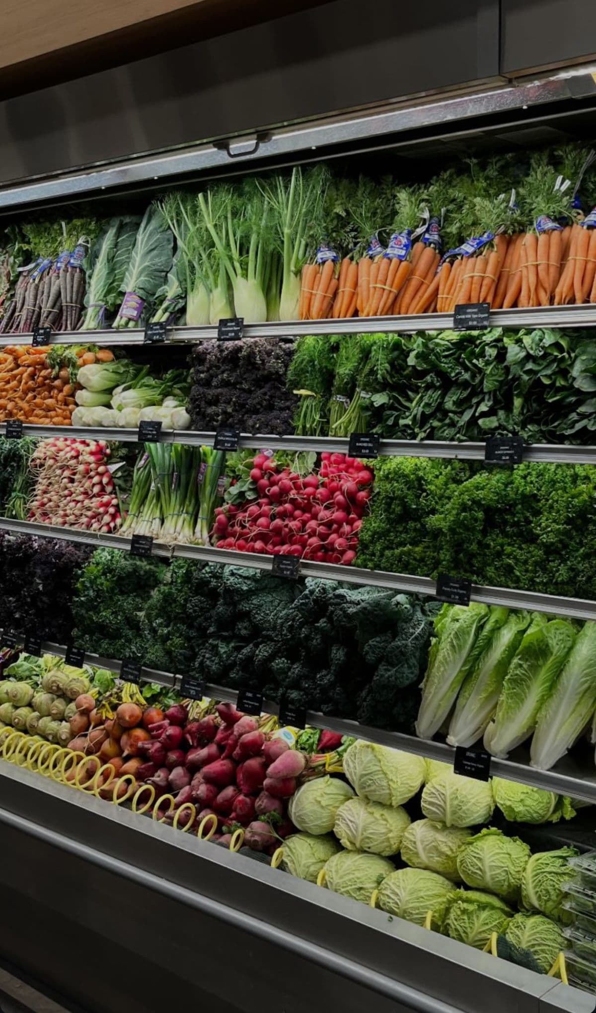 Food and beverage: temperature-controlled and cold chain freight